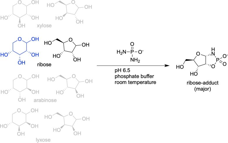 Sugar Ribose RNA Origin Graphic