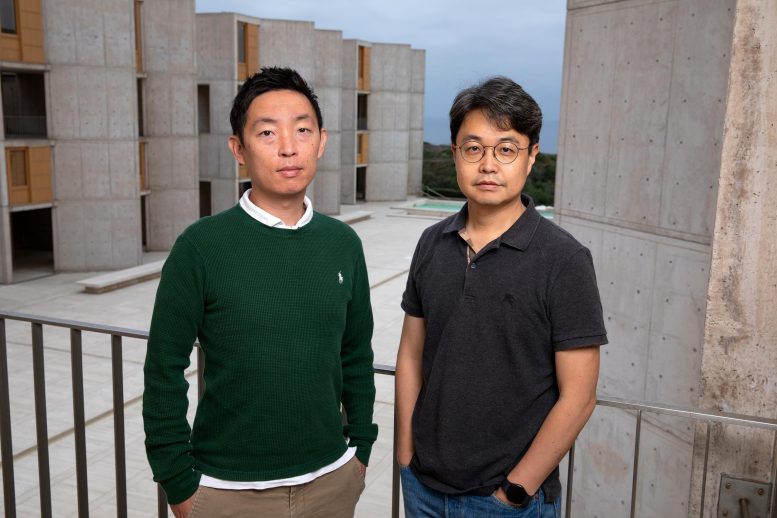 From left: Sukjae Kang and Sung Han. Credit: Salk Institute