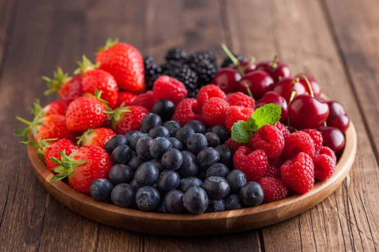 Summer Berries Raspberries Blueberries Strawberries Blackberries Cherries