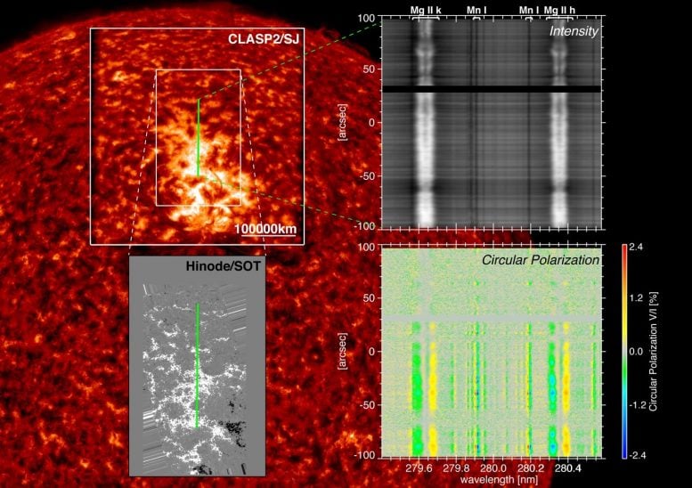 Sun Active Region Simultaneously Observed by CLASP2 and Hinode