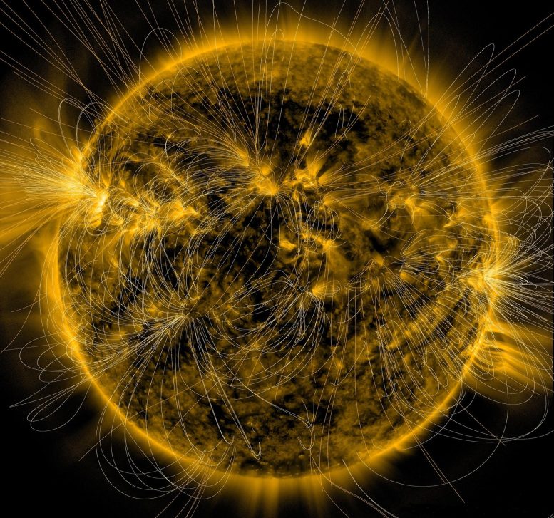 איור השדה המגנטי של השמש