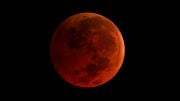 Super Blue Blood Moon is Coming