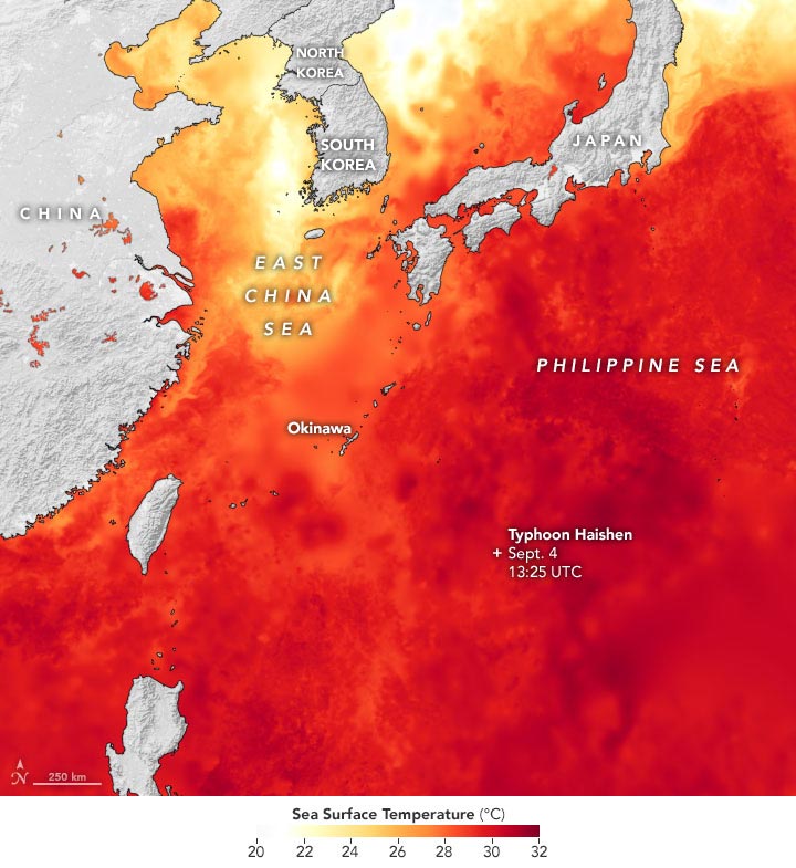 Super Typhoon Haishen Sea Surface Temperature Annotated