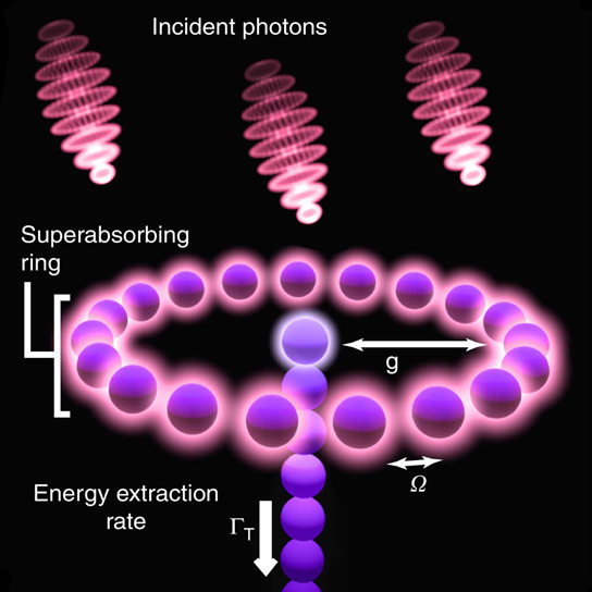 Superabsorption of Light Via Quantum Engineering