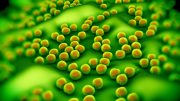 Superbug MRSA Bacteria Concept