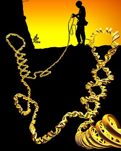 DNA’s Secret Dance: How Molecular Machines Twist and Loop Life’s Code