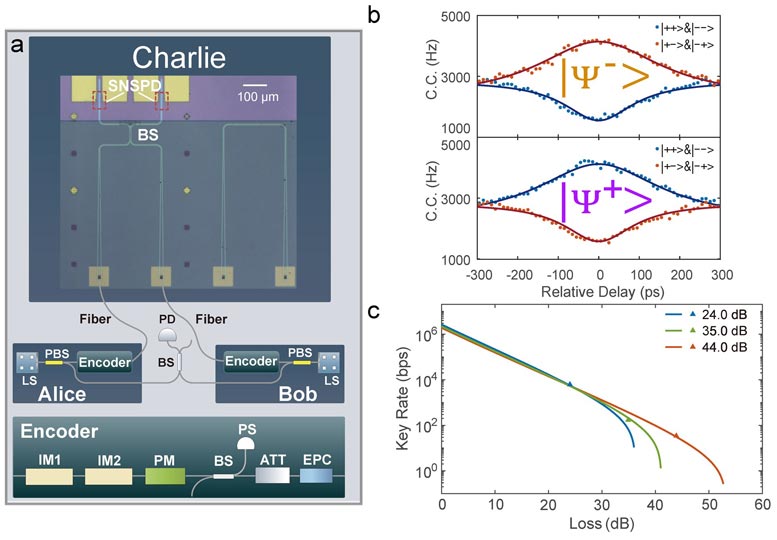 Superconducting Silicon-Photonic Chip Schematic
