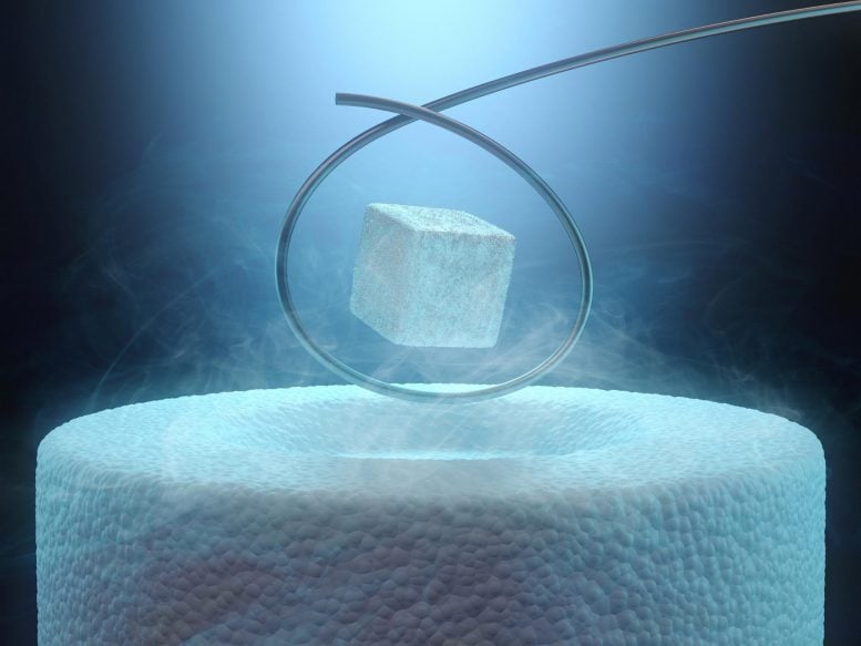 Superconductivity Levitation Concept