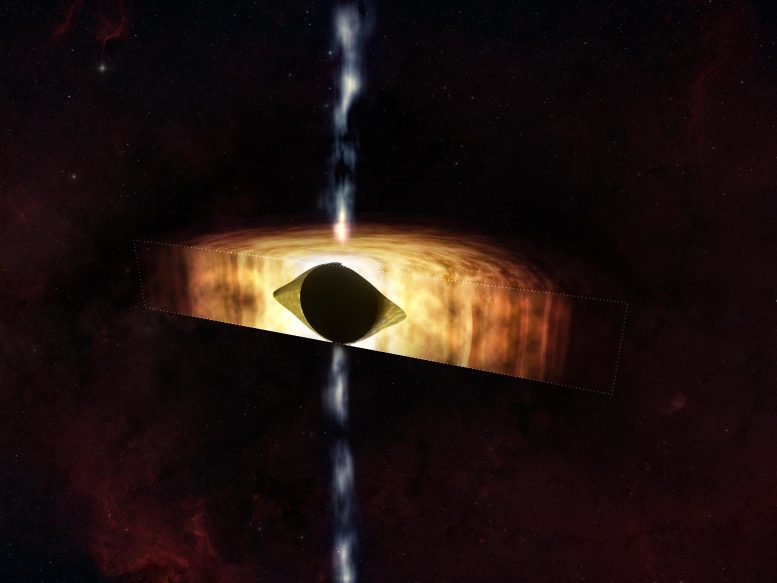Supermassive Black Hole and Surrounding Material Cross-Section