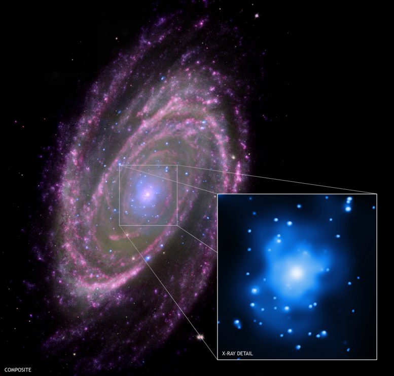 Supermassive Black Hole at the Center of Spiral Galaxy M81