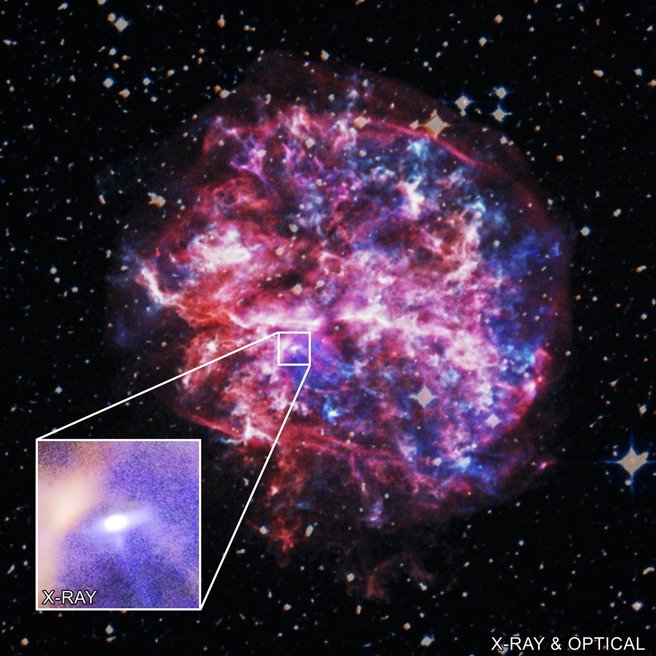 Chandra de la NASA captura Pulsar en una trampa de rayos X