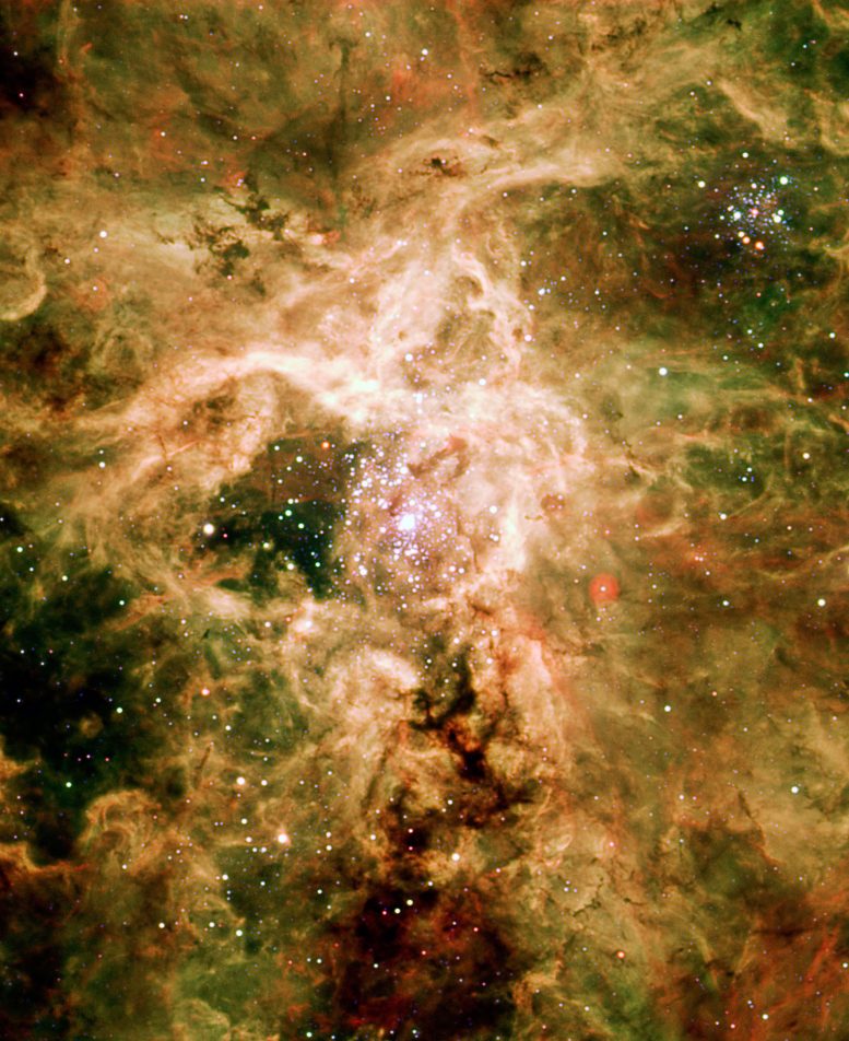 Supernova Remnant NGC 2060