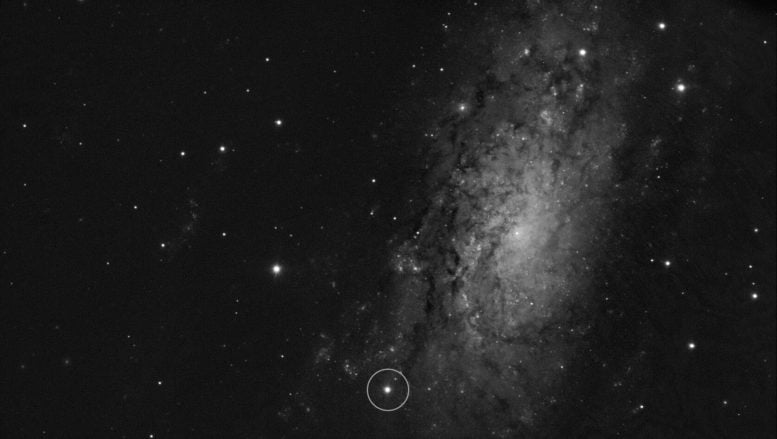 Supernova SN 2024ggi in NGC 3621 Galaxy
