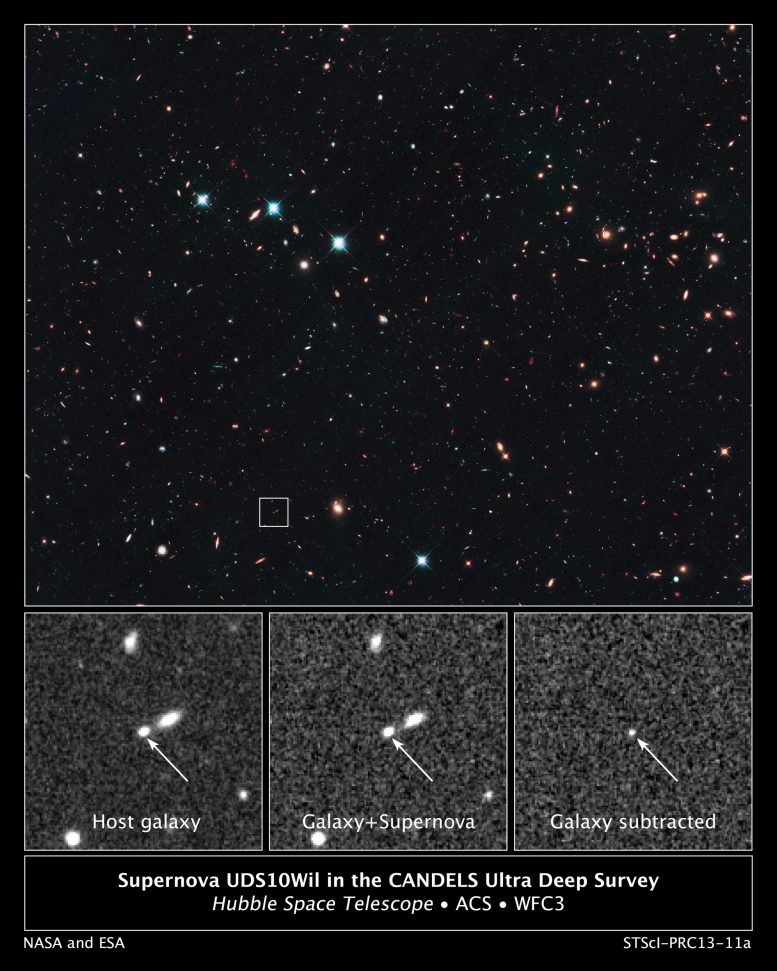 Supernova UDS10Wil in the CANDELS Ultra Deep Survey