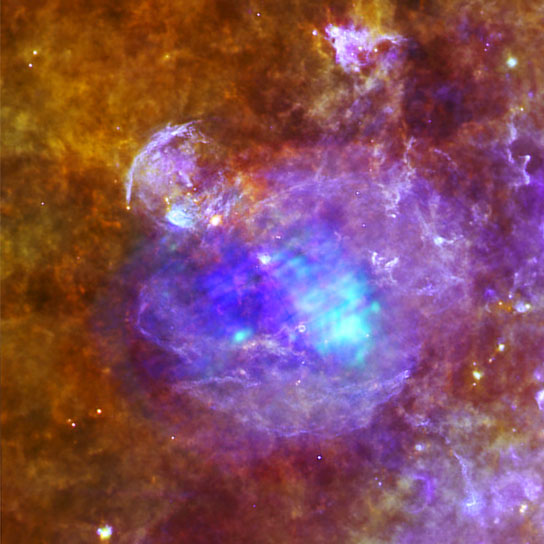 Supernova remnant W44