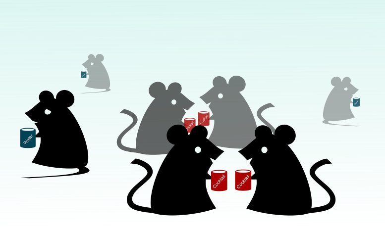 Supplement Trio Shows Promise in Reversing Autism