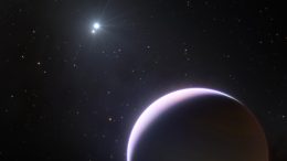 Surprise Planet Discovered Around Extreme Star Pair