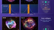 Suzaku Observations Reveal Distinction Between Massive Stars and White Dwarfs