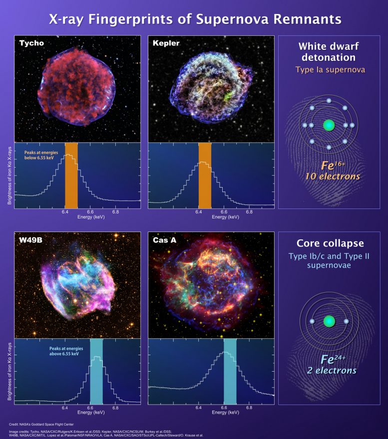 Suzaku Observations Reveal Distinction Between Massive Stars and White Dwarfs