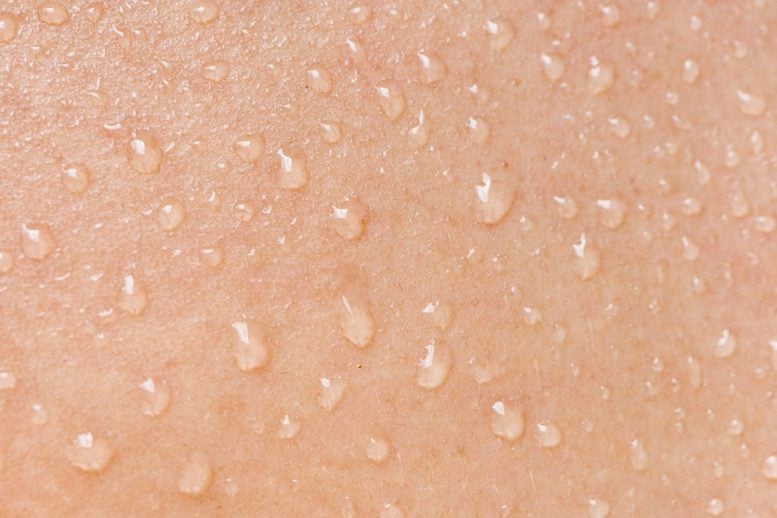 Your Skin Has a Secret Weapon – and It’s Not What You Think