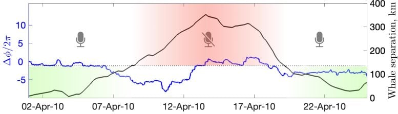 Synchronization of Whale Behavior