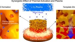 Synergistic Effect of Thermal Activation and Plasma