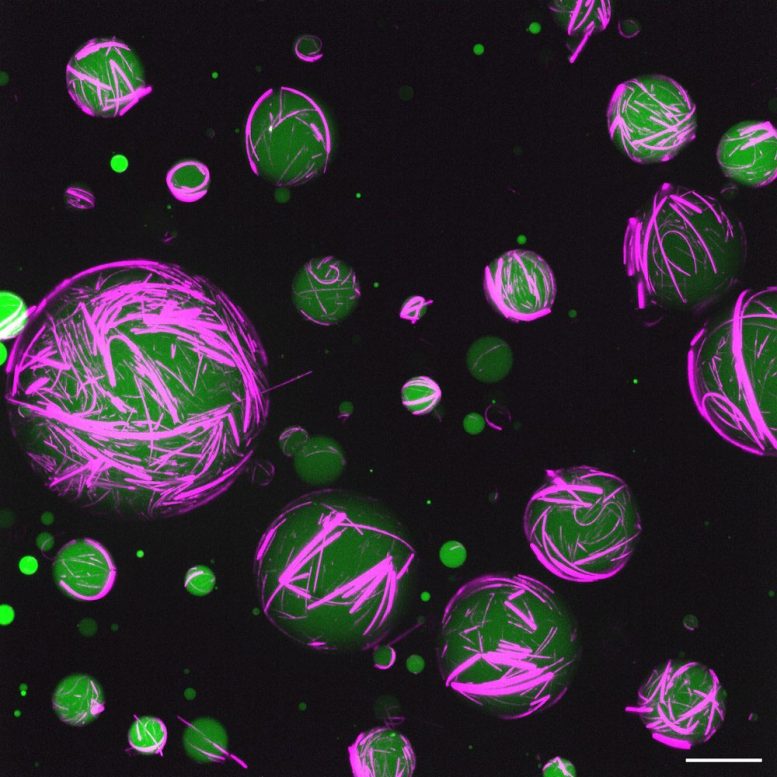 Ilustração de células sintéticas