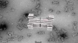 Synthetic Nanopores Made from DNA