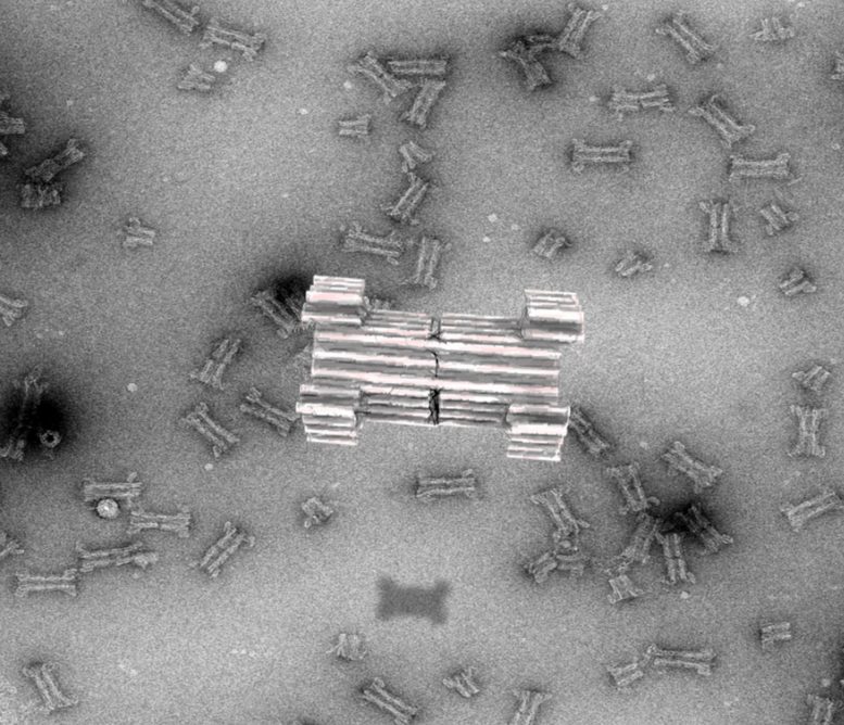 Synthetic Nanopores Made from DNA