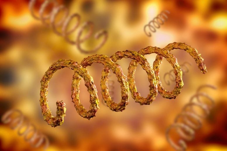 Ancient “Syphilis-Like” Disease in Vietnam Challenges Key Scientific Assumptions