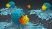T Cells Attacking Cancer Cells