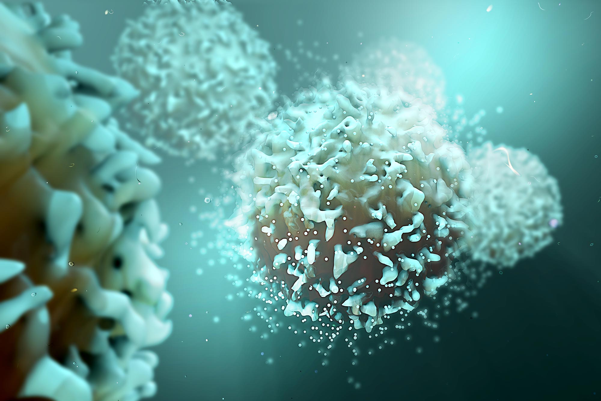 Scientists Find a Way to “Bulletproof” T Cells Against Cancer