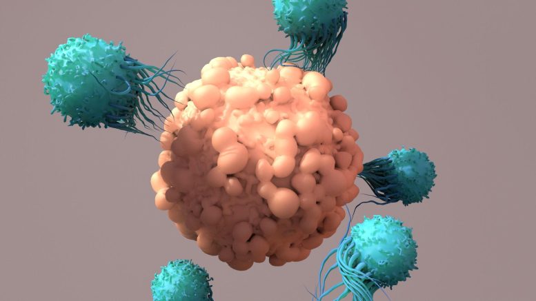 T Cells Cancer Immunotherapy