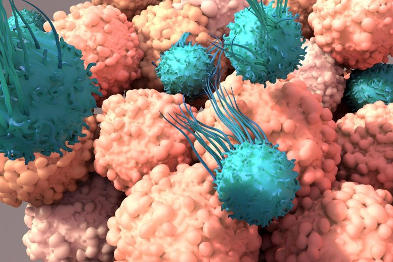 T Cells Fight Cancer Immunotherapy
