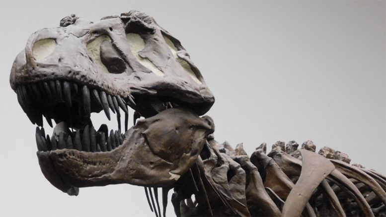 Νέα έρευνα αποκαλύπτει ότι οι δεινόσαυροι δεν ήταν τόσο έξυπνοι όσο νομίζαμε