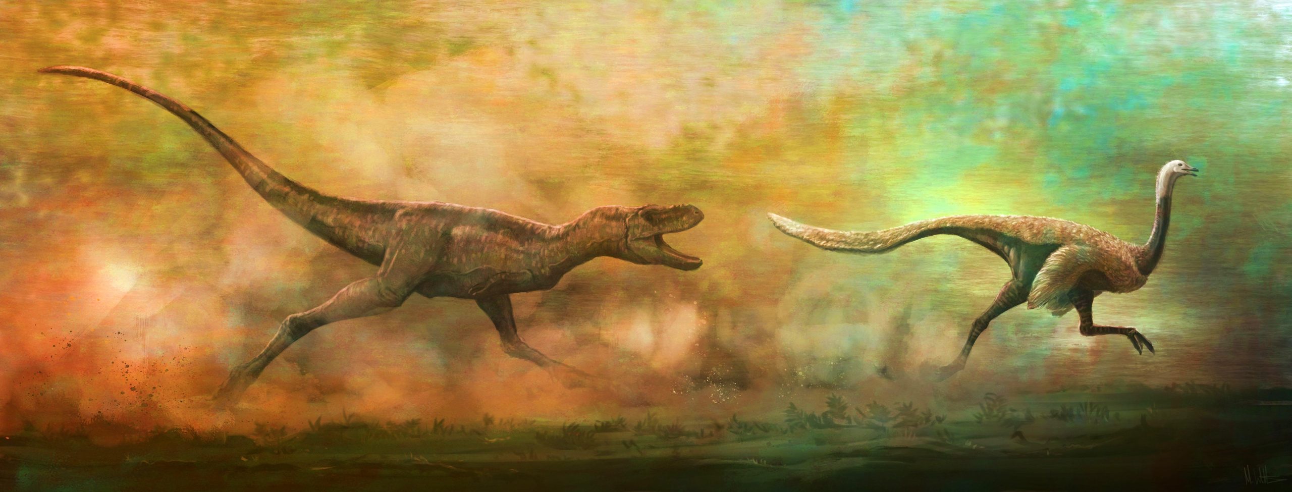 Scientists debunk bold theory of T. rex as 3 species