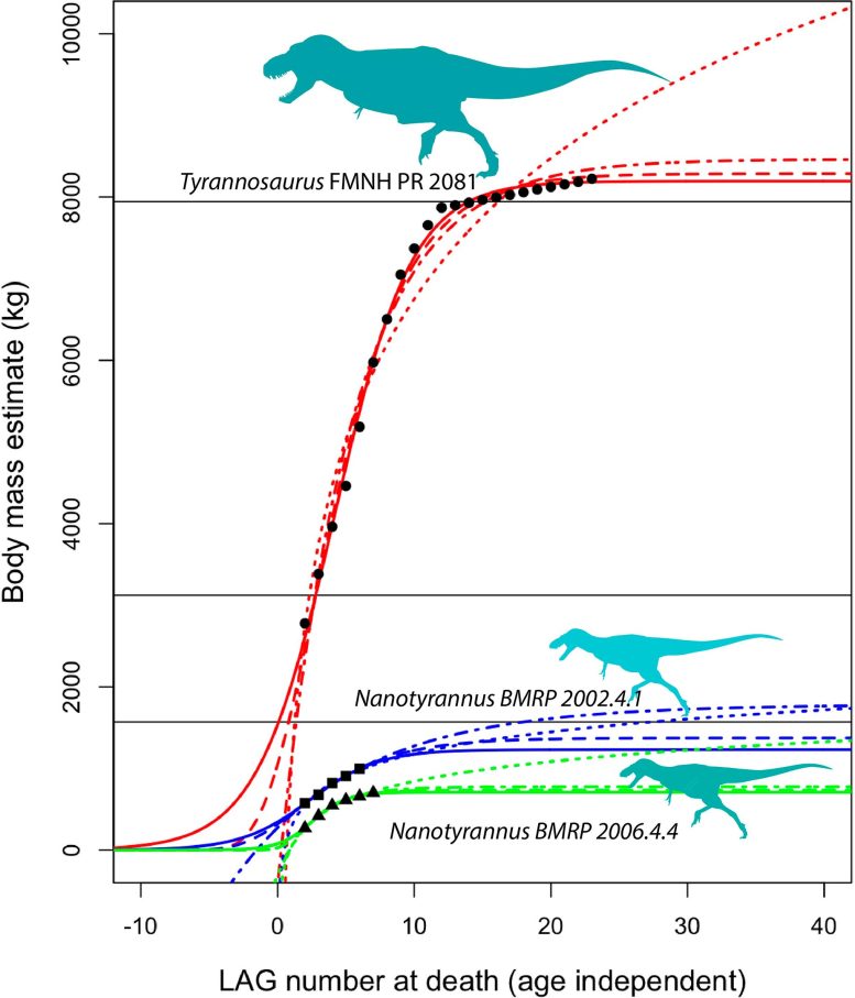 T. rex vs Nanotyrannus Growth Curve Comparison