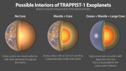TRAPPIST-1 Exoplanet Interiors