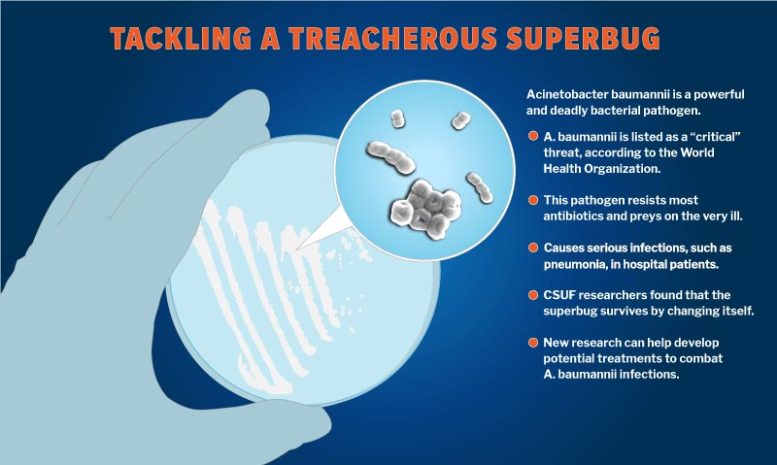 Tackling Treacherous Superbug