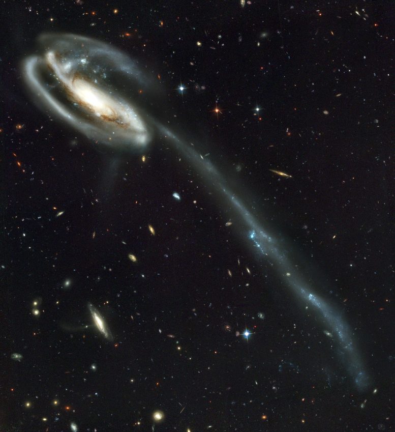 Tadpole Galaxy UGC 10214 Hubble ACS