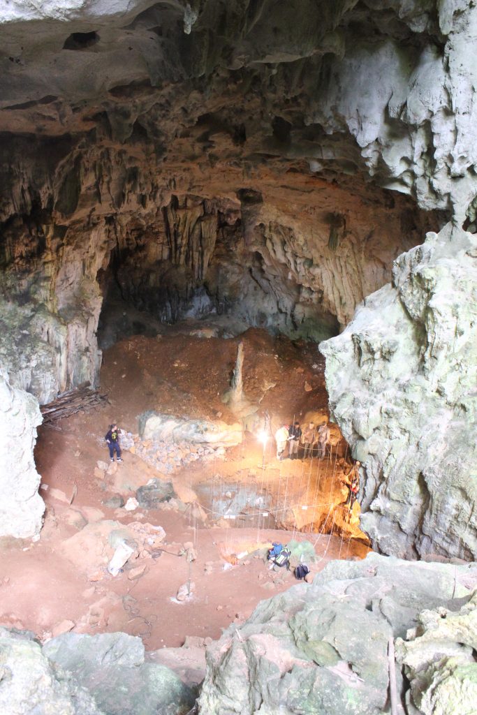 Tam Pà Ling Cave Sediments