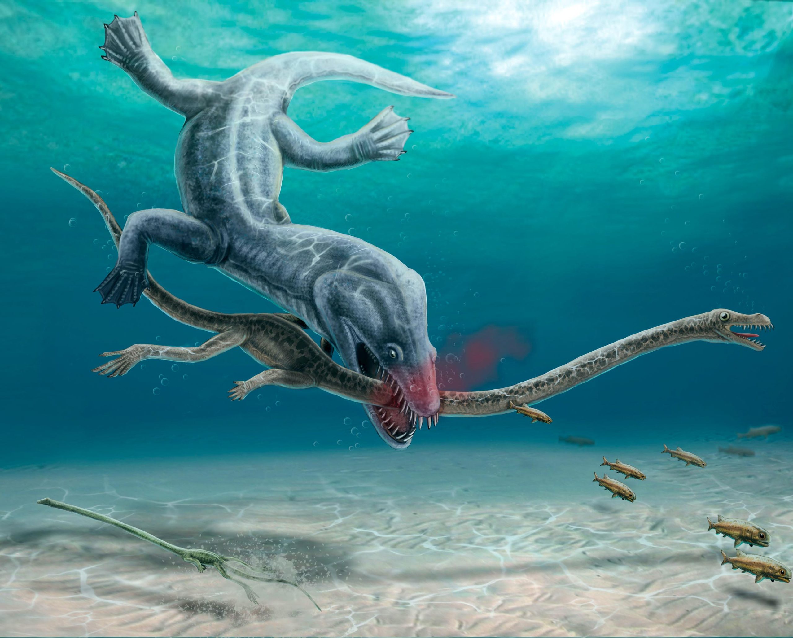 „Achillov krk“ – fosílie naznačujú, že plazy s dlhým krkom boli zabité predátormi