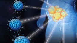 Targeting of Fat by Cationic Nanomaterials Illustration