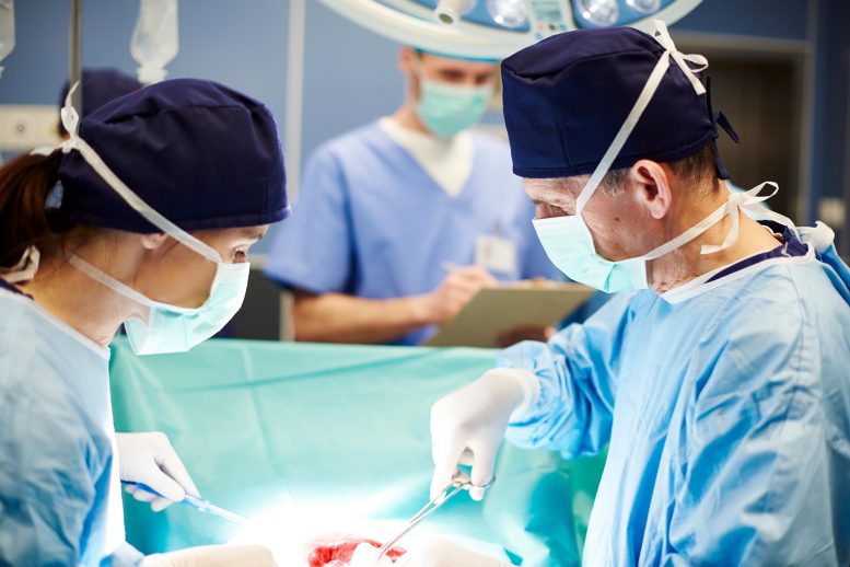 Team of Surgeons Organ Transplant