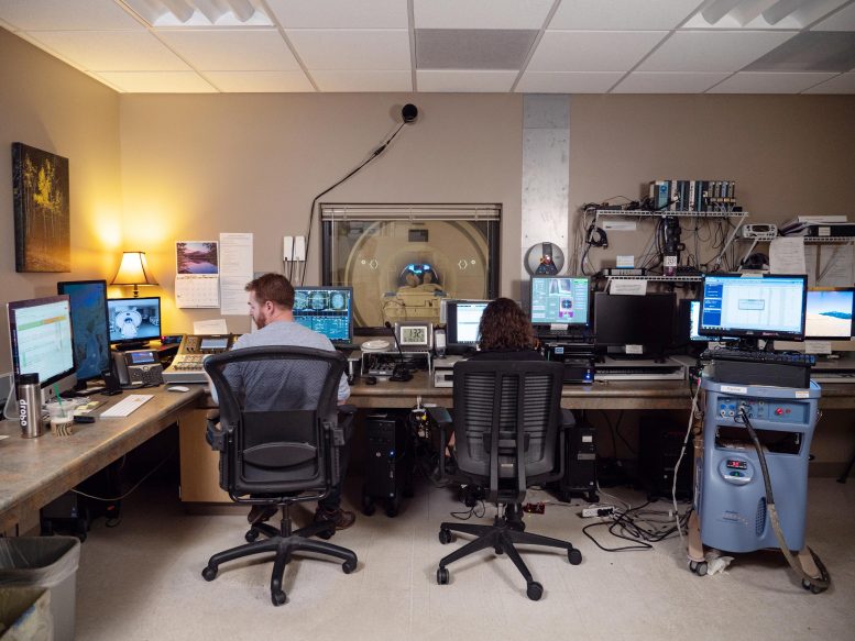 Technicians Observe an fMRI Brain Scan