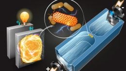 Technique Identifies Electricity Producing Bacteria