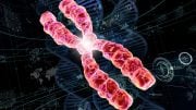 Telomeres DNA Genetics Illustration