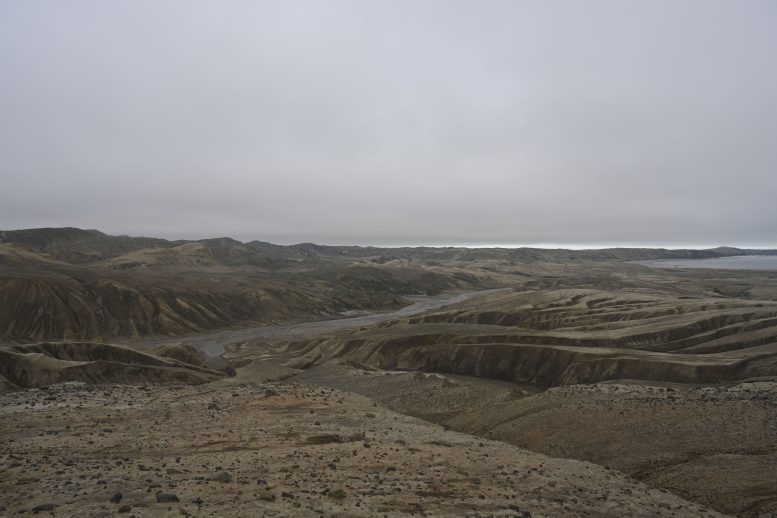 Tertiary Eocene La Meseta Formation on Seymour Island