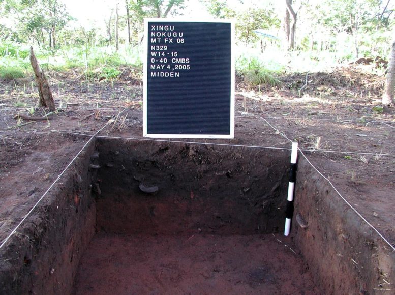 Puits d'essai dans le gisement de terre sombre sur le site archéologique de Ngokugu