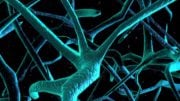 Test for Alzheimer’s Disease Directly Measures Synaptic Loss
